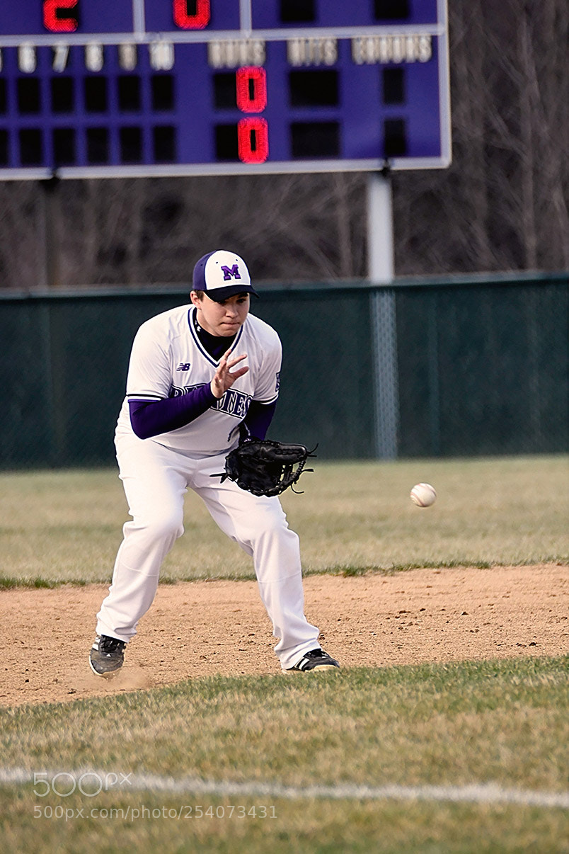 Nikon D500 sample photo. Baseball photography