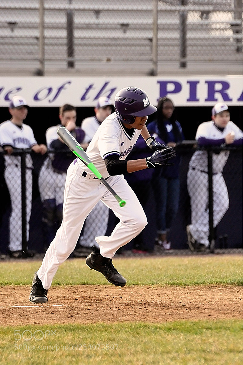 Nikon D500 sample photo. Baseball photography