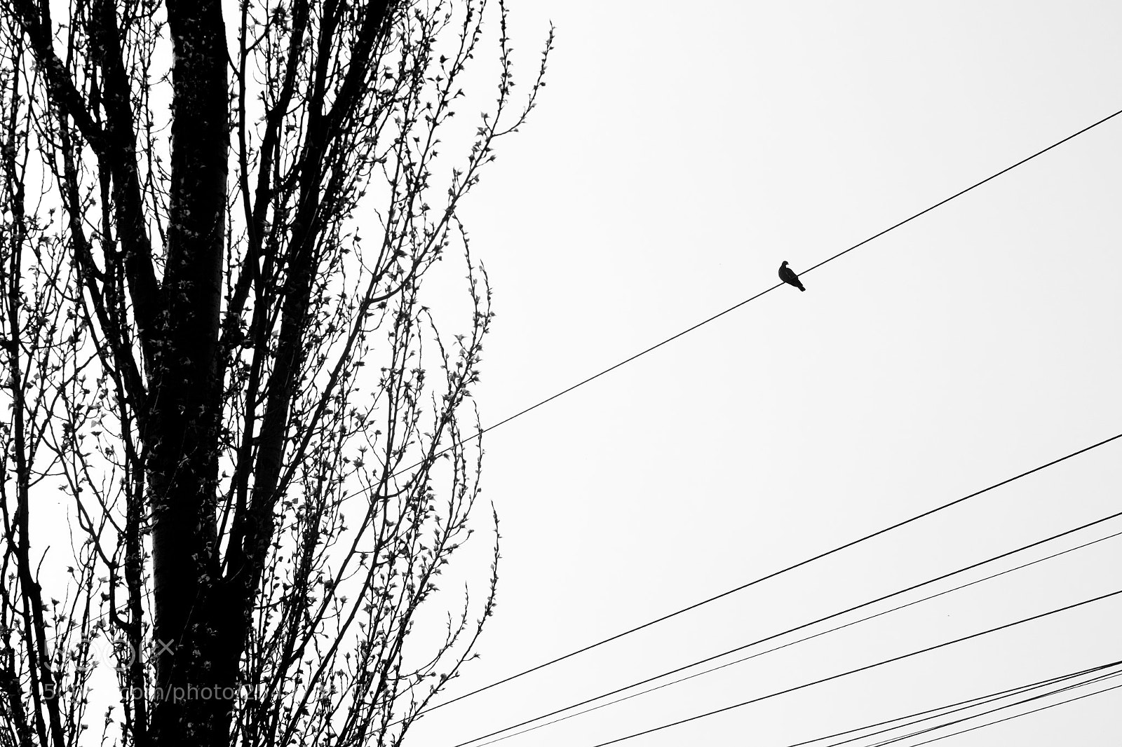 Fujifilm X-T2 sample photo. 1 photography