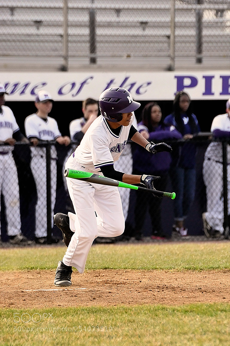 Nikon D500 sample photo. Baseball photography