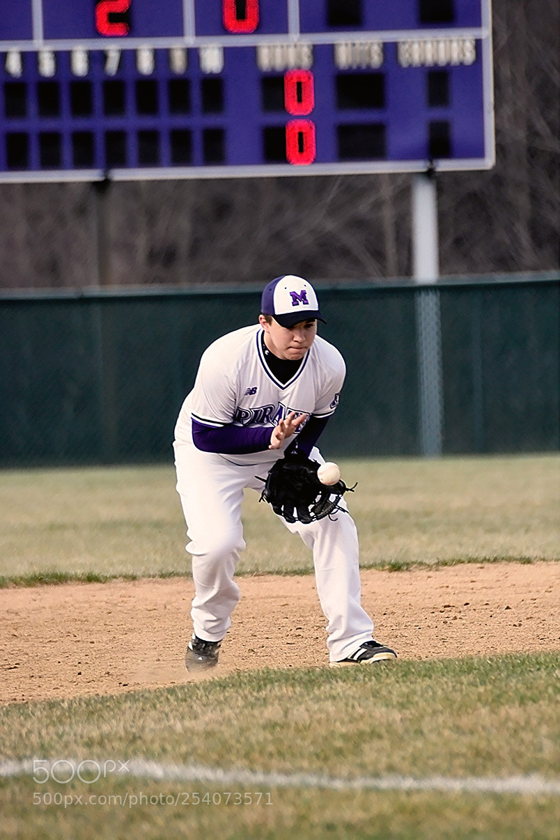 Nikon D500 sample photo. Baseball photography