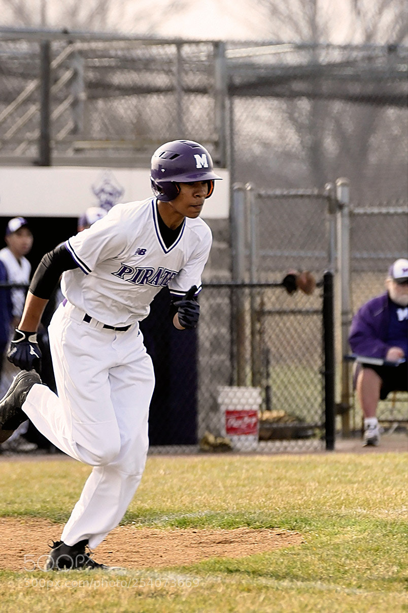 Nikon D500 sample photo. Baseball photography