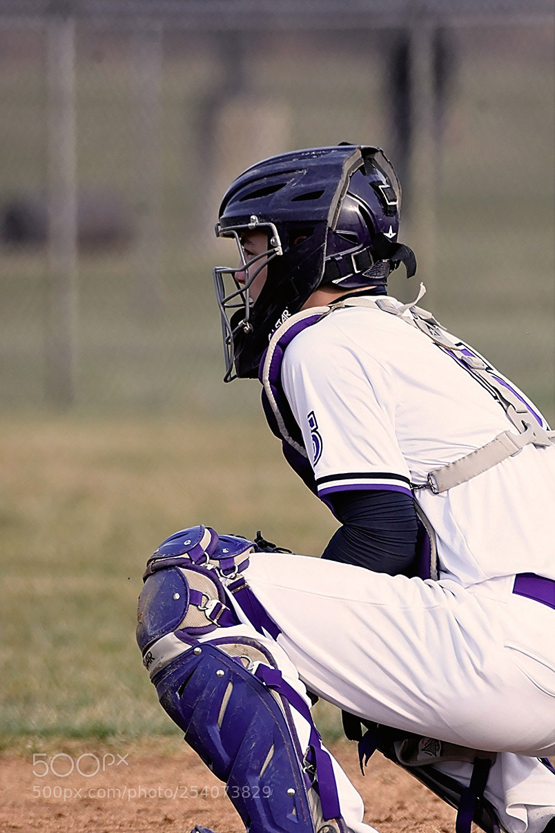 Nikon D500 sample photo. Baseball photography