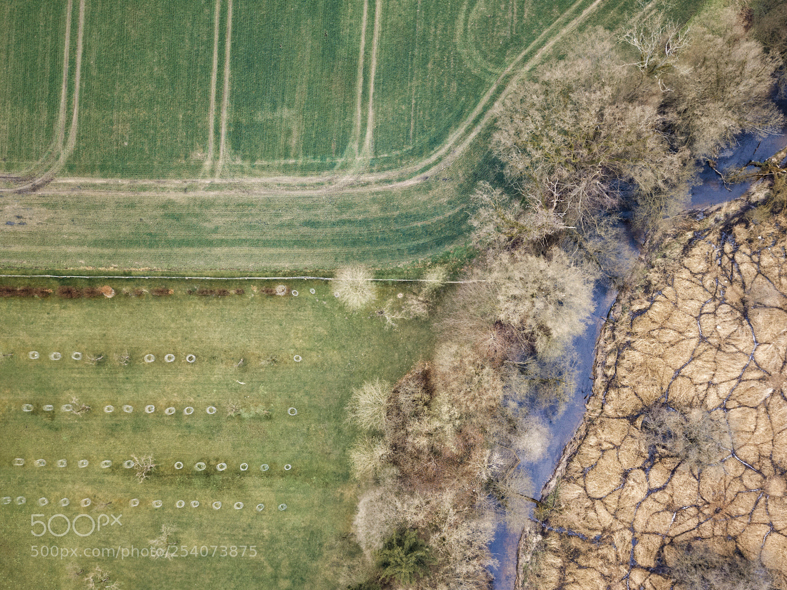 DJI FC220 sample photo. Mecklenburger landschaft  photography