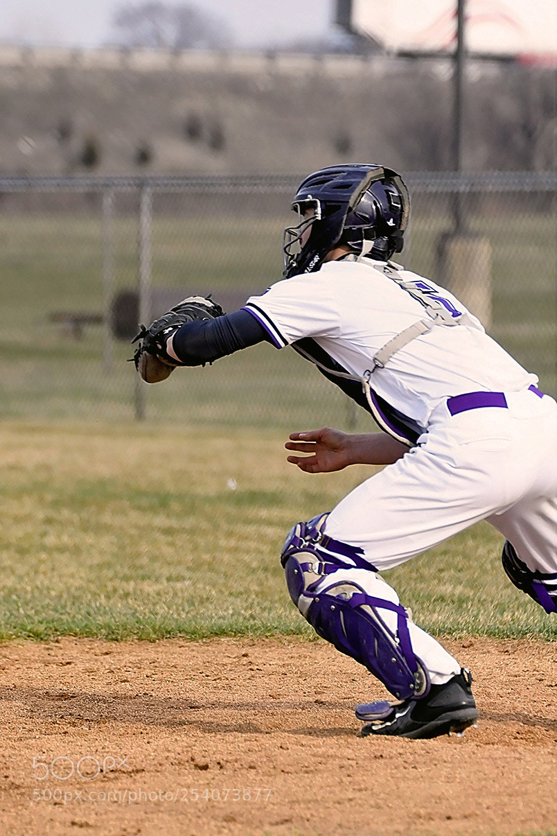 Nikon D500 sample photo. Baseball photography