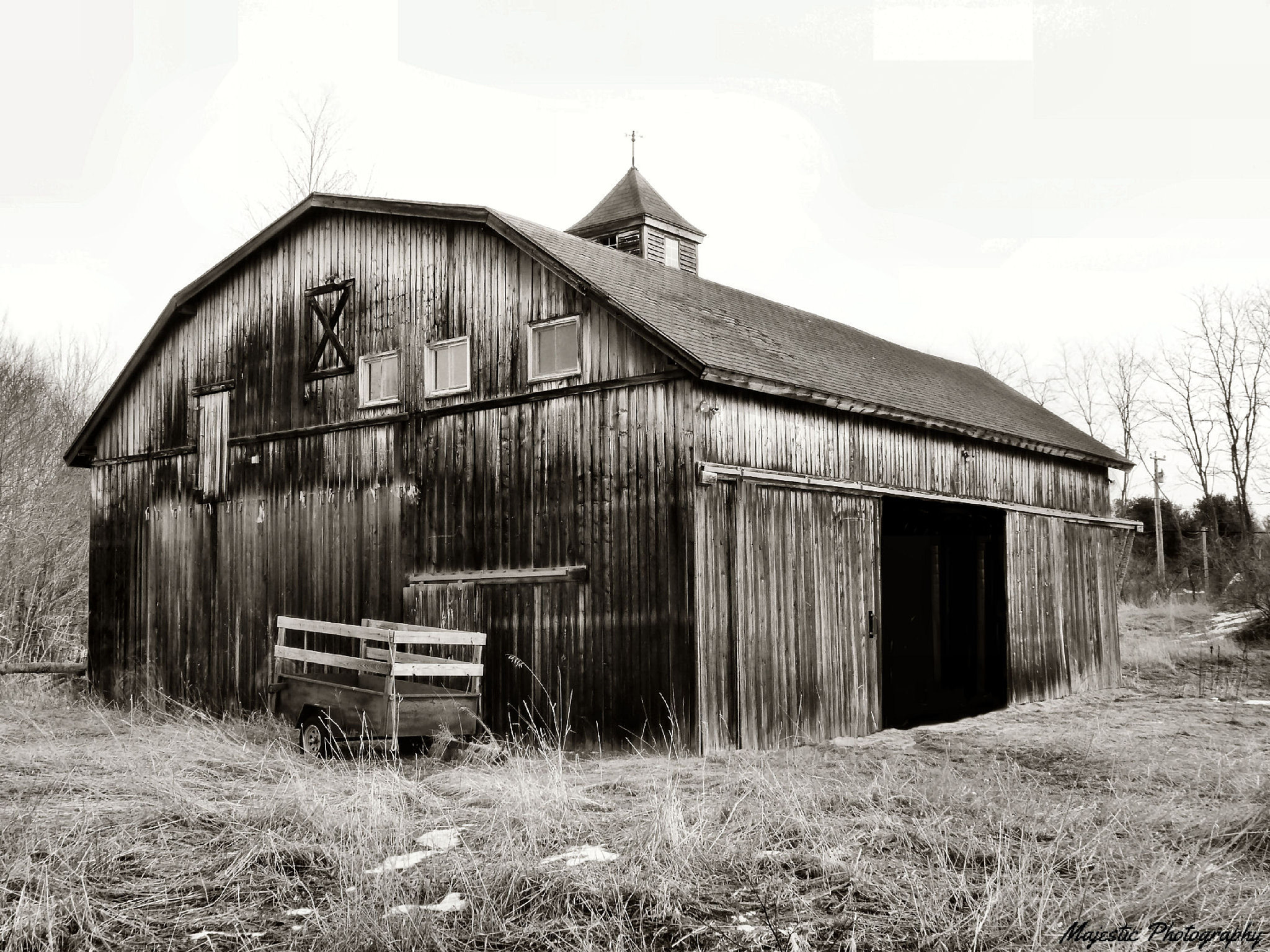 Panasonic Lumix DMC-FZ35 (Lumix DMC-FZ38) sample photo. Down at the barn photography