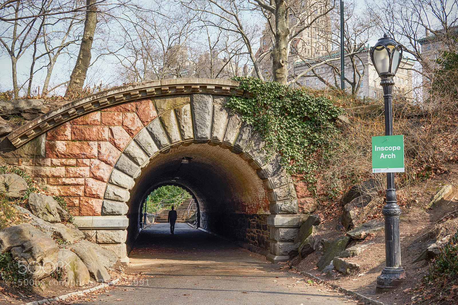 Sony a6500 sample photo. New york central park photography