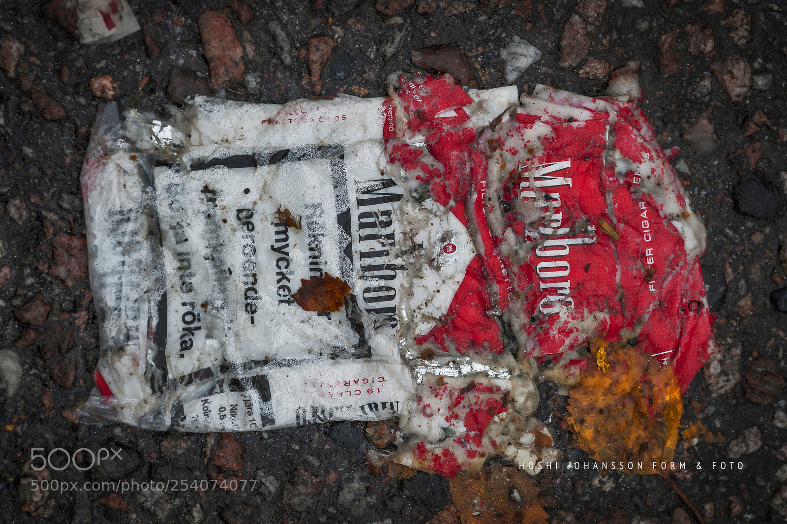 Nikon D700 sample photo. Don't follow photography
