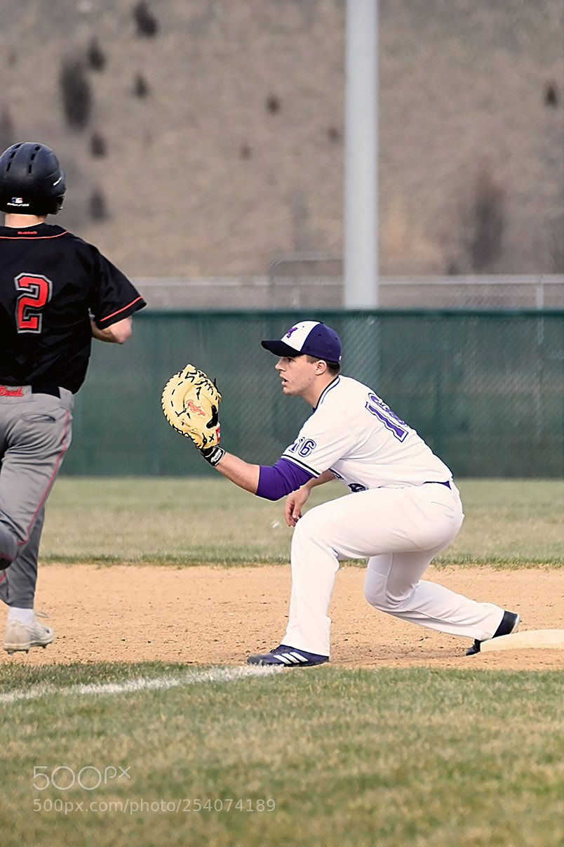 Nikon D500 sample photo. Baseball photography