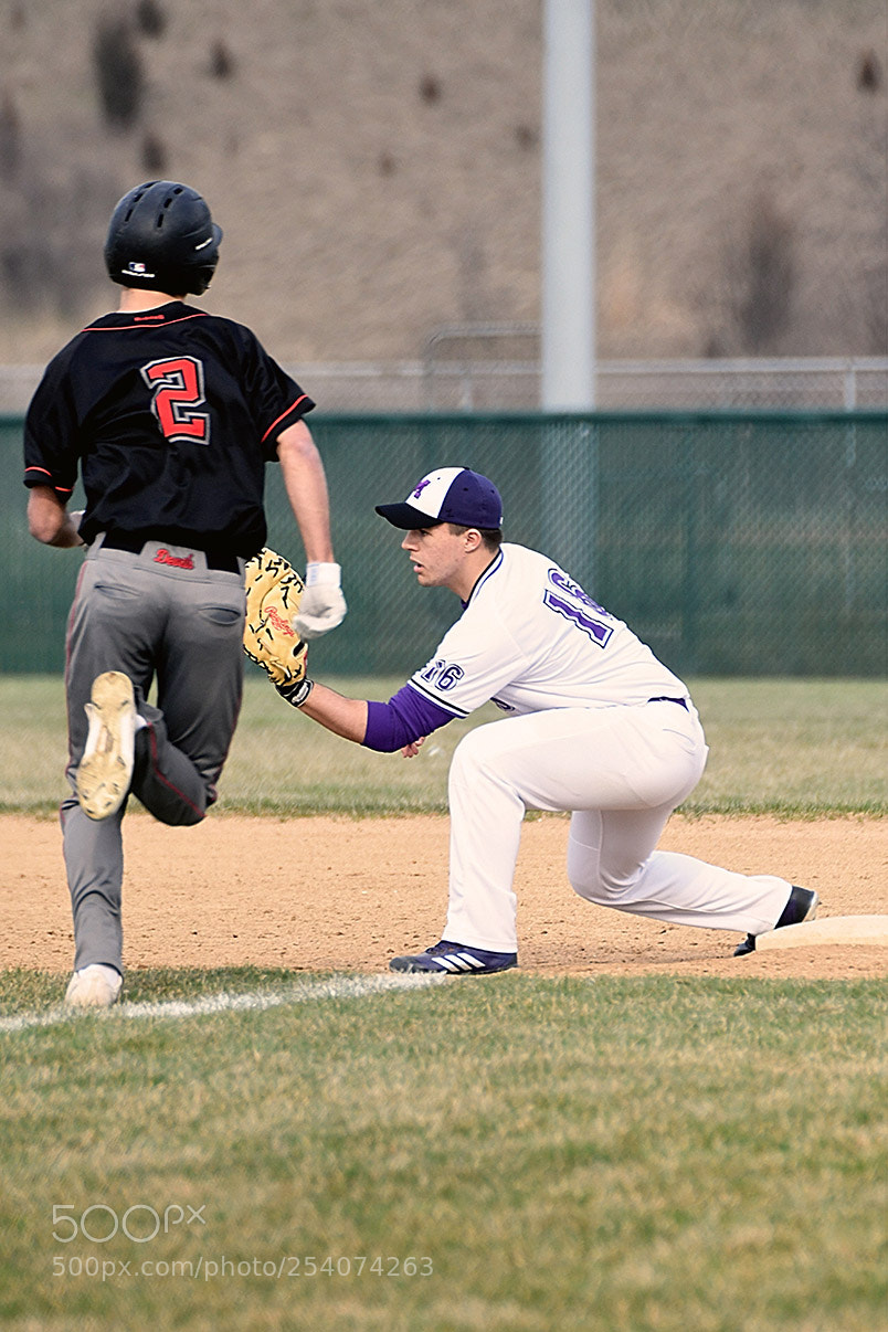 Nikon D500 sample photo. Baseball photography