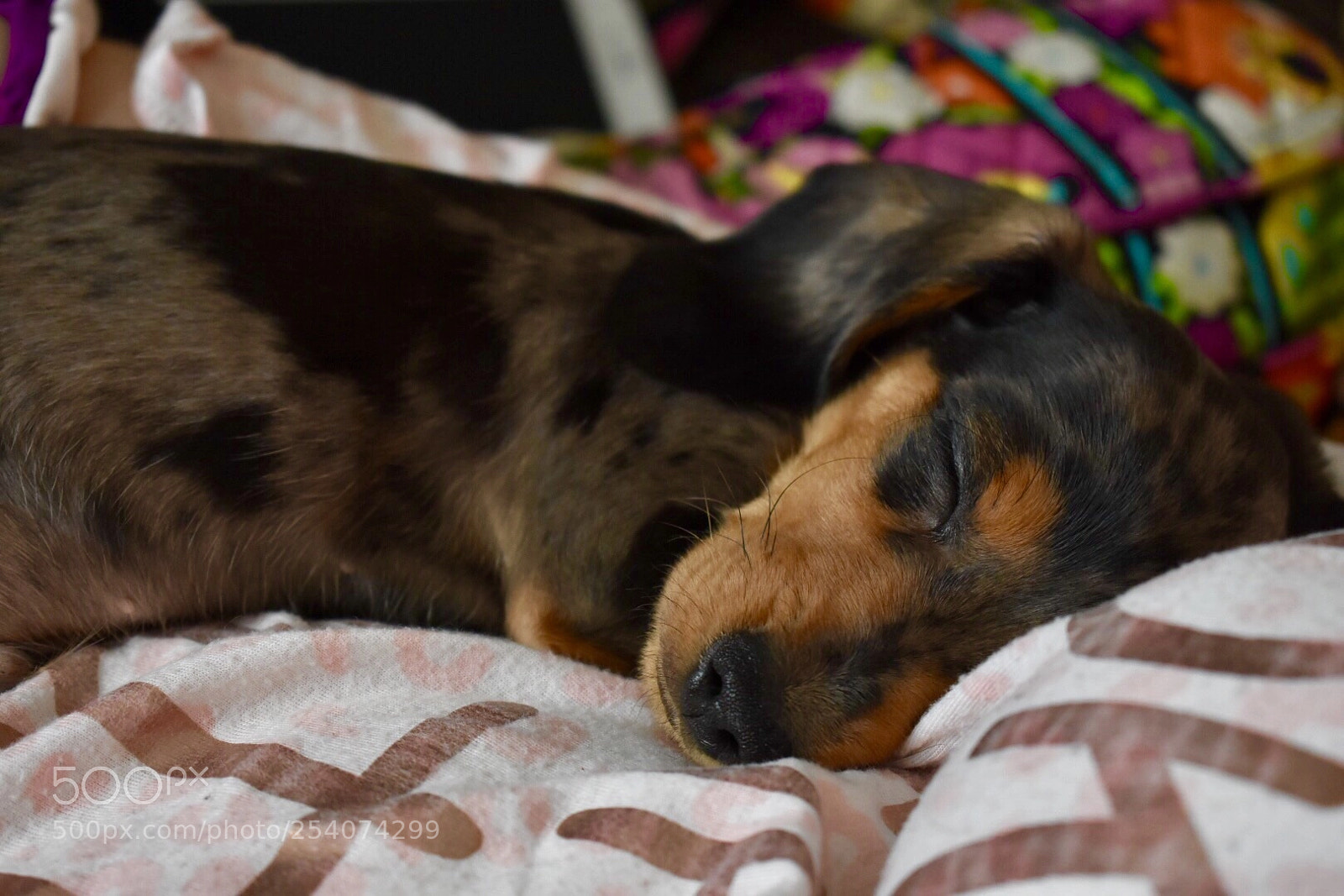 Nikon D7200 sample photo. Untitled photography