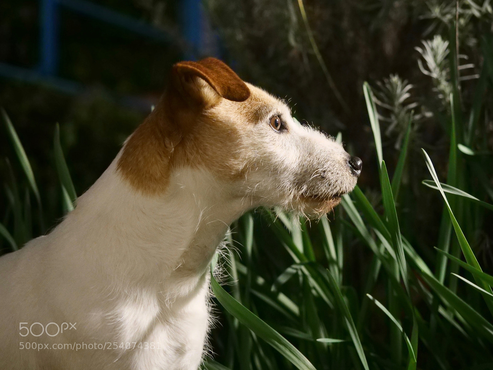 Panasonic Lumix DC-G9 sample photo. () photography
