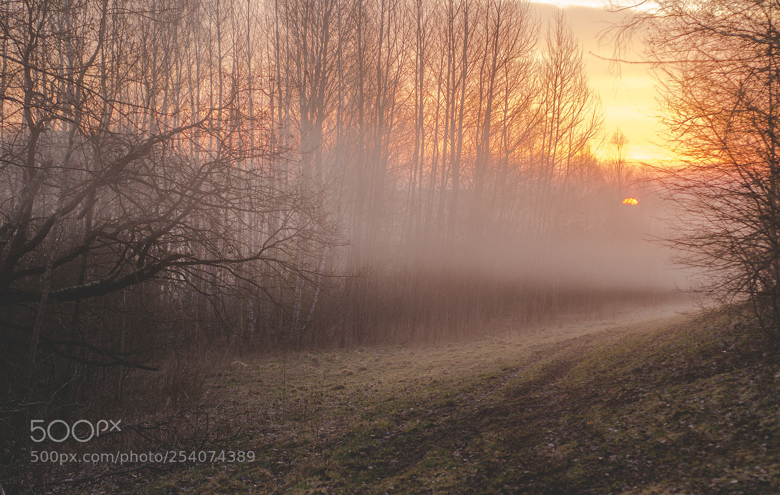 Nikon D7000 sample photo. Misty foggy morning photography
