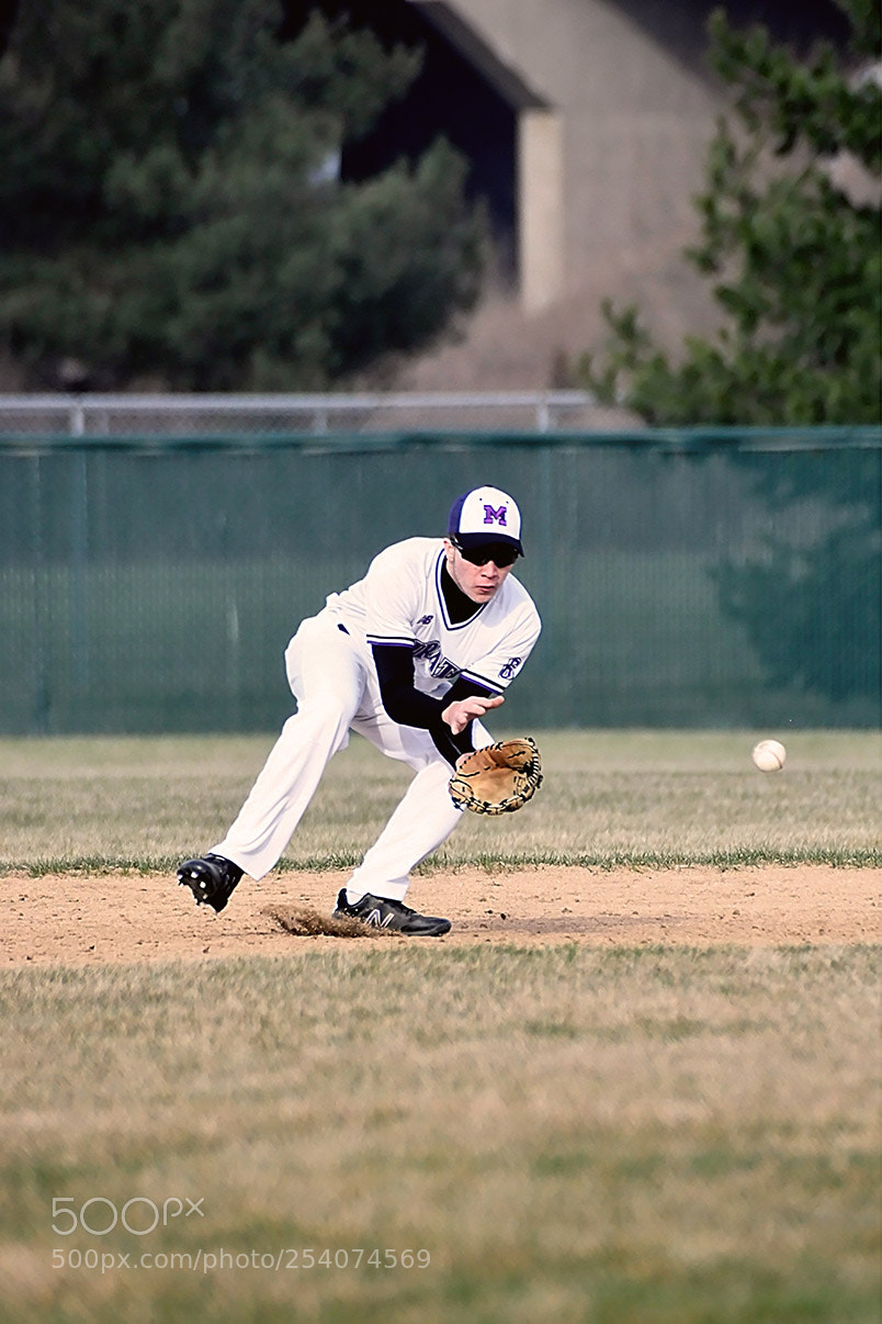 Nikon D500 sample photo. Baseball photography