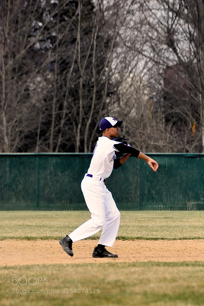 Nikon D500 sample photo. Baseball photography