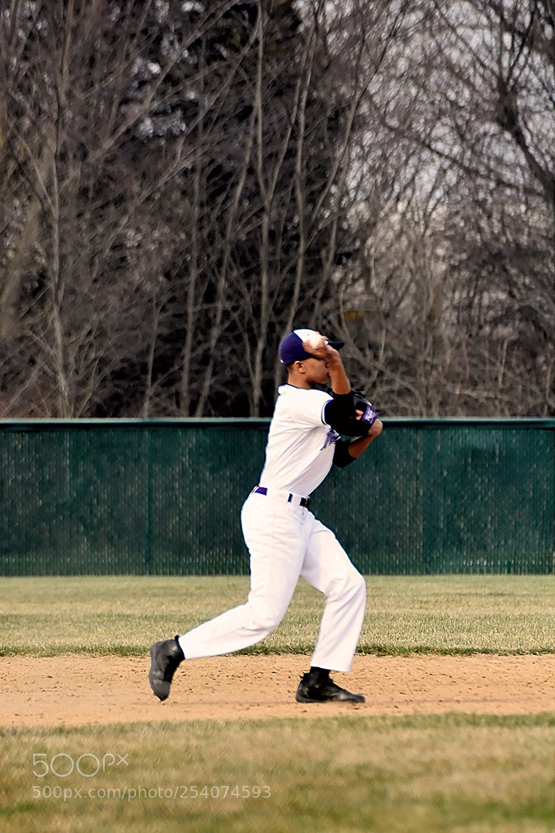 Nikon D500 sample photo. Baseball photography