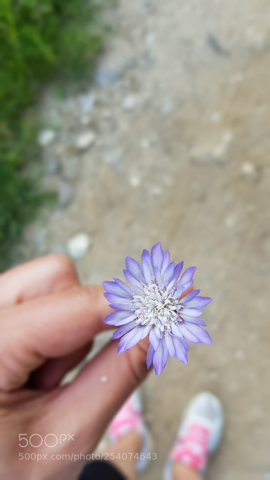 Samsung Galaxy S8 sample photo. Untitled photography