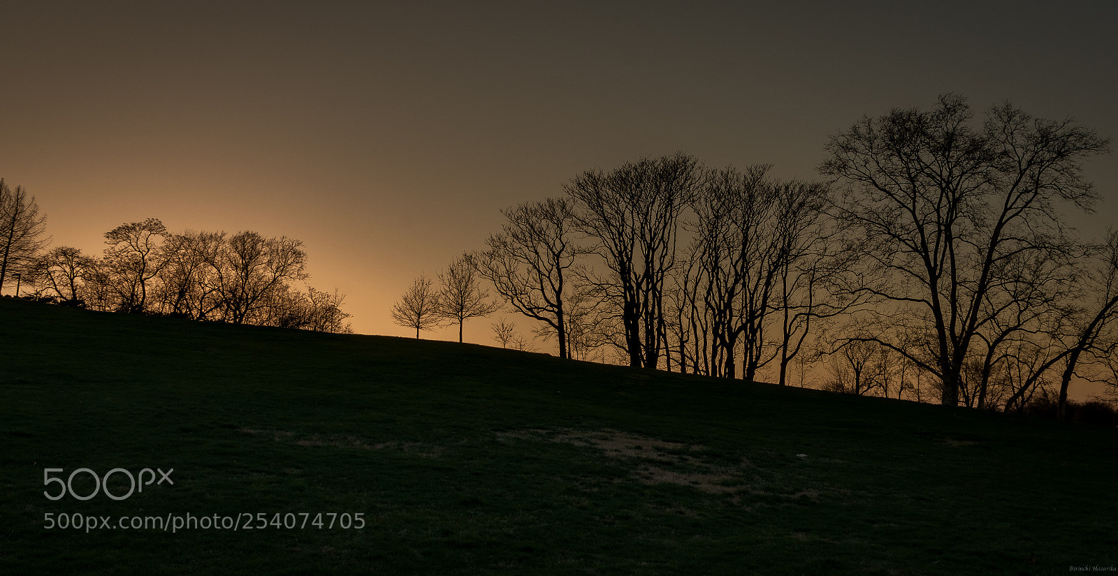 Nikon D7200 sample photo. Dusk by the park photography