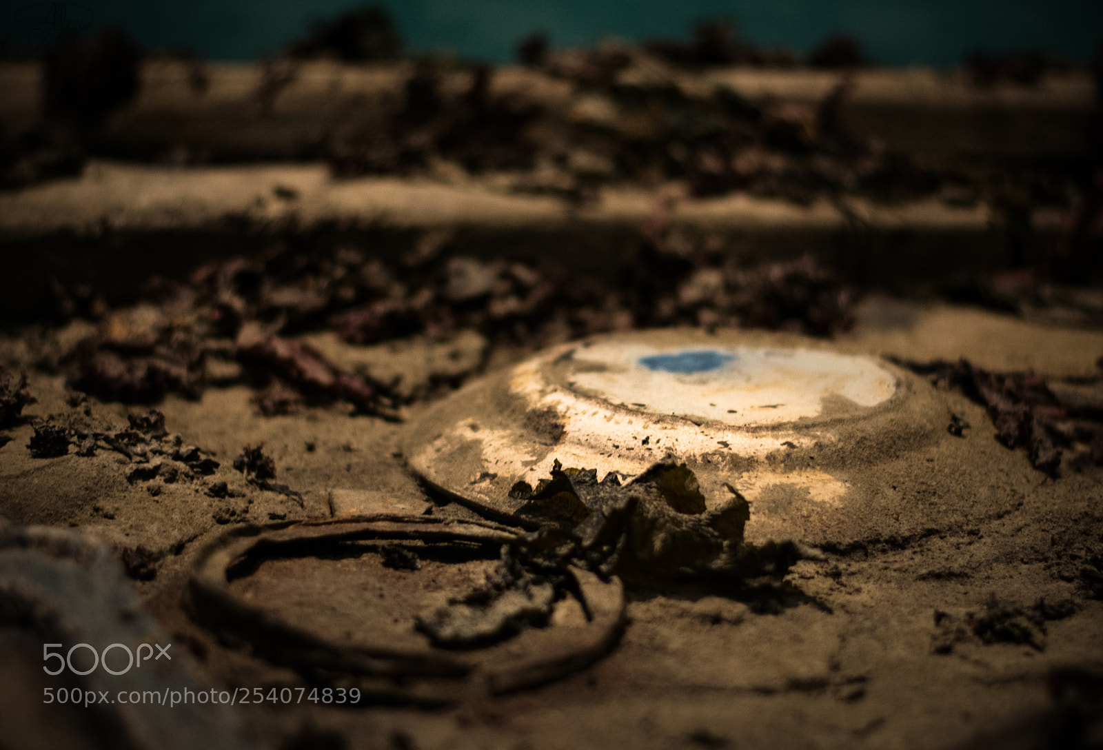 Nikon D7100 sample photo. . photography