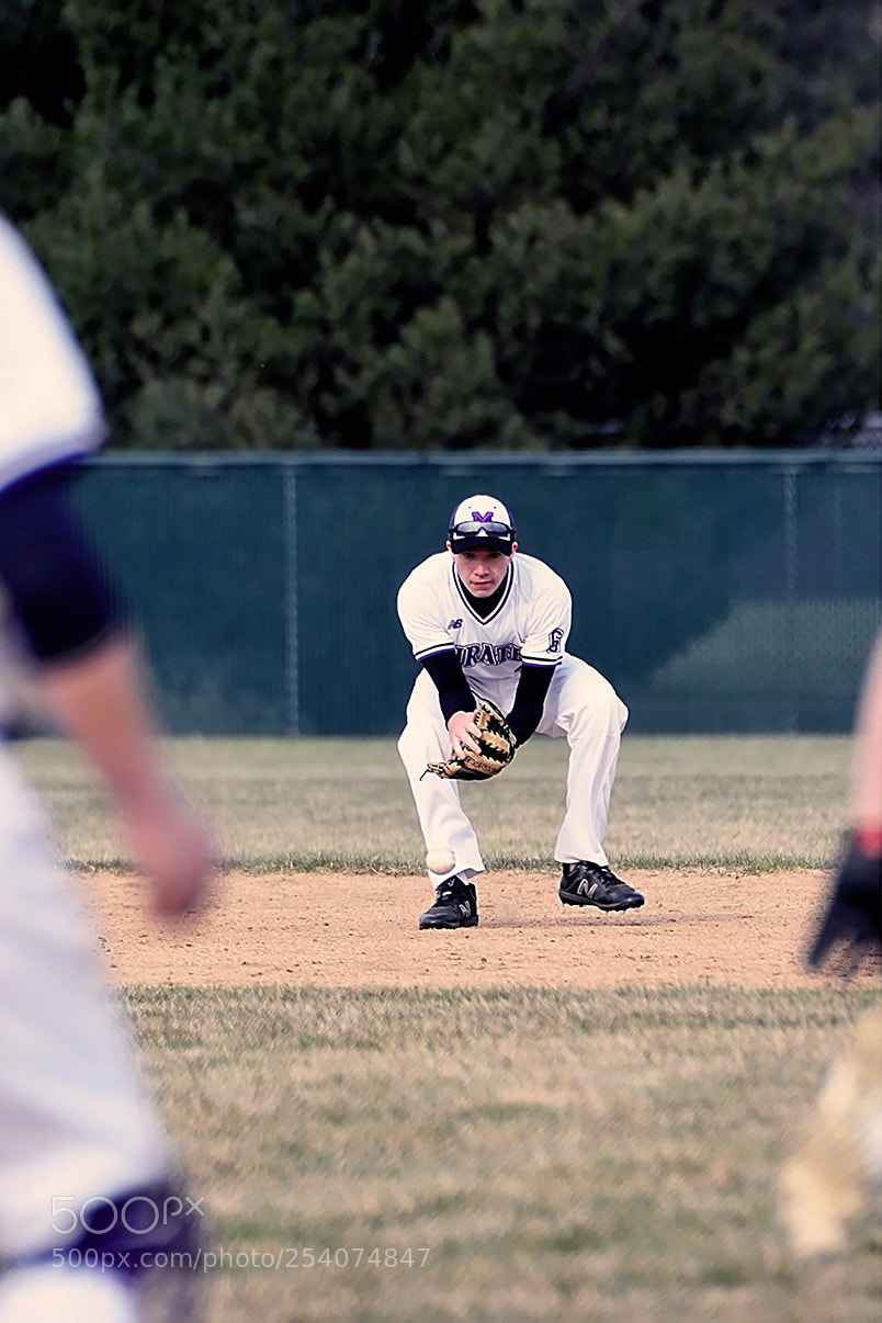 Nikon D500 sample photo. Baseball photography