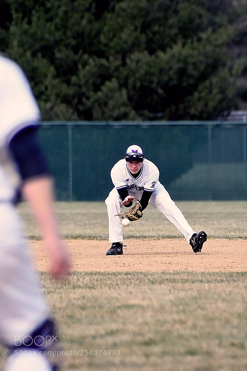 Nikon D500 sample photo. Baseball photography