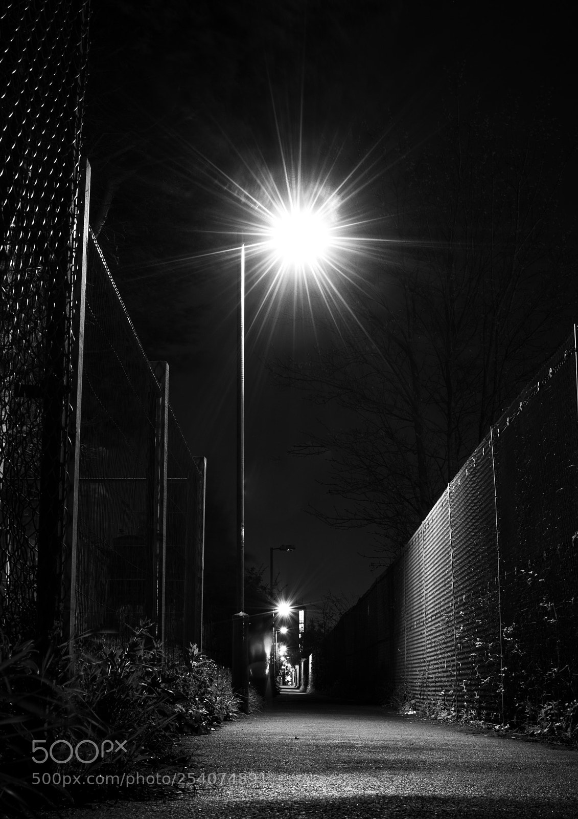 Nikon D5500 sample photo. Night walk photography