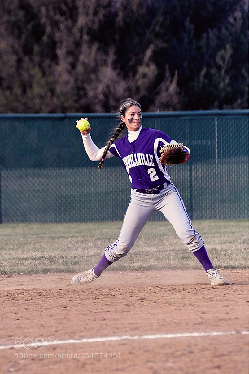 Nikon D500 sample photo. Softball photography