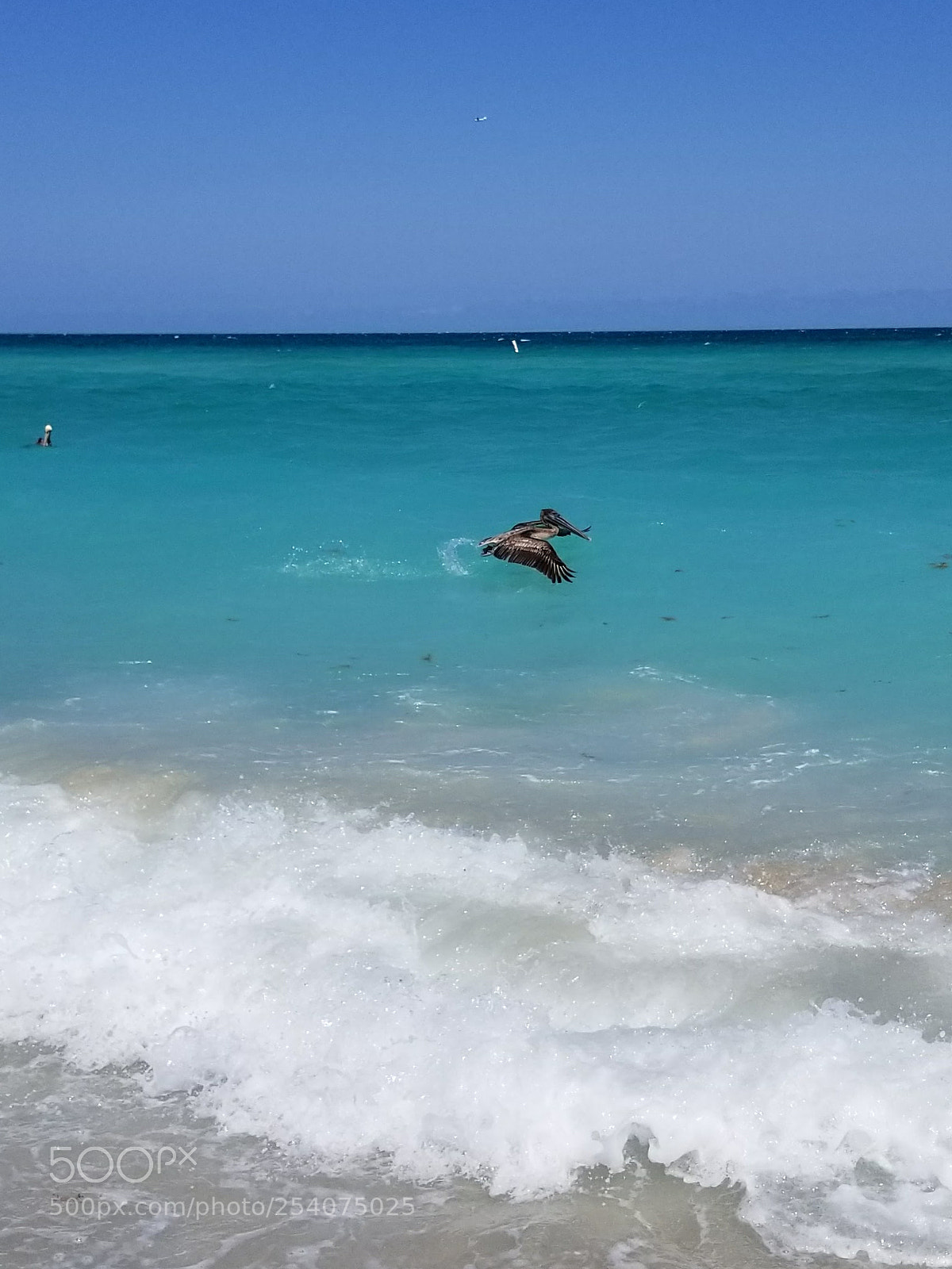 Samsung Galaxy S8 sample photo. Untitled photography