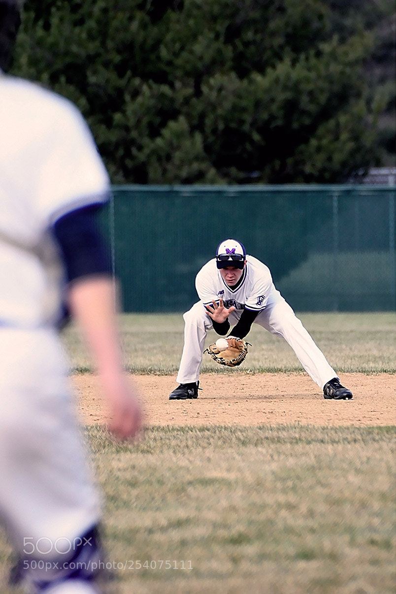 Nikon D500 sample photo. Baseball photography