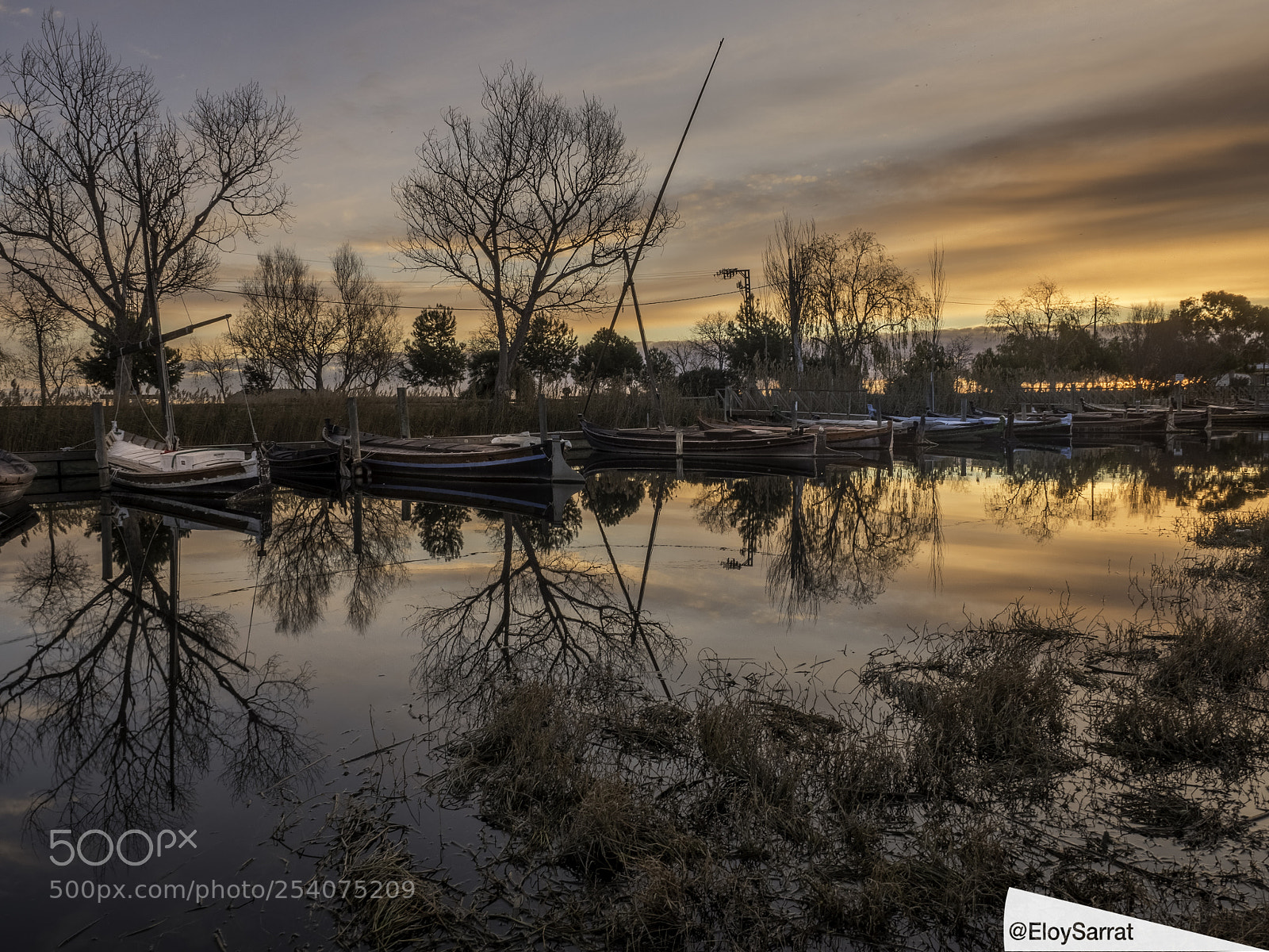Olympus OM-D E-M5 II sample photo. Sunrise at albufera de photography
