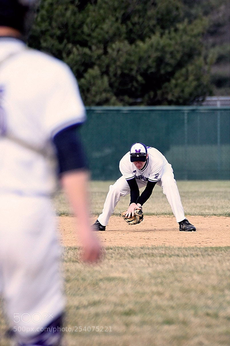 Nikon D500 sample photo. Baseball photography
