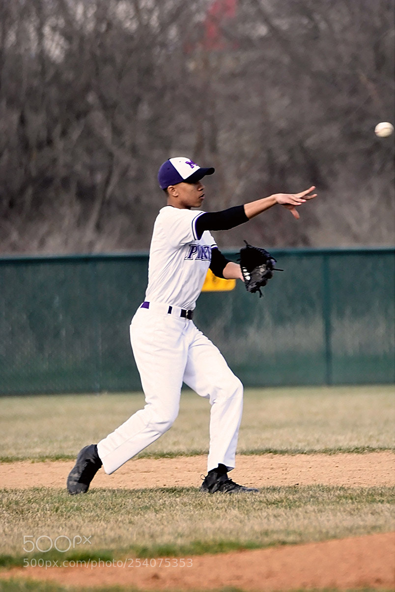 Nikon D500 sample photo. Baseball photography