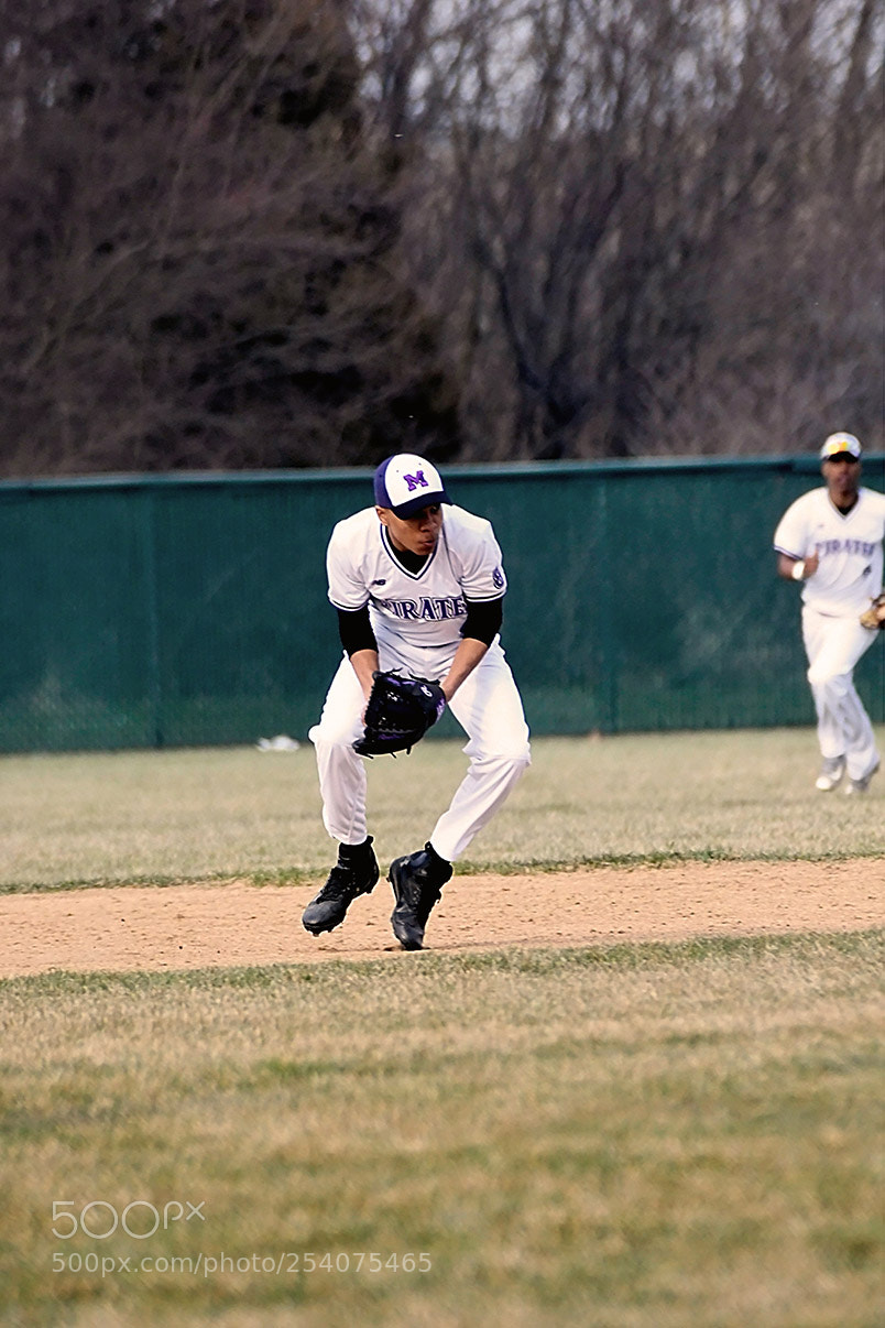 Nikon D500 sample photo. Baseball photography