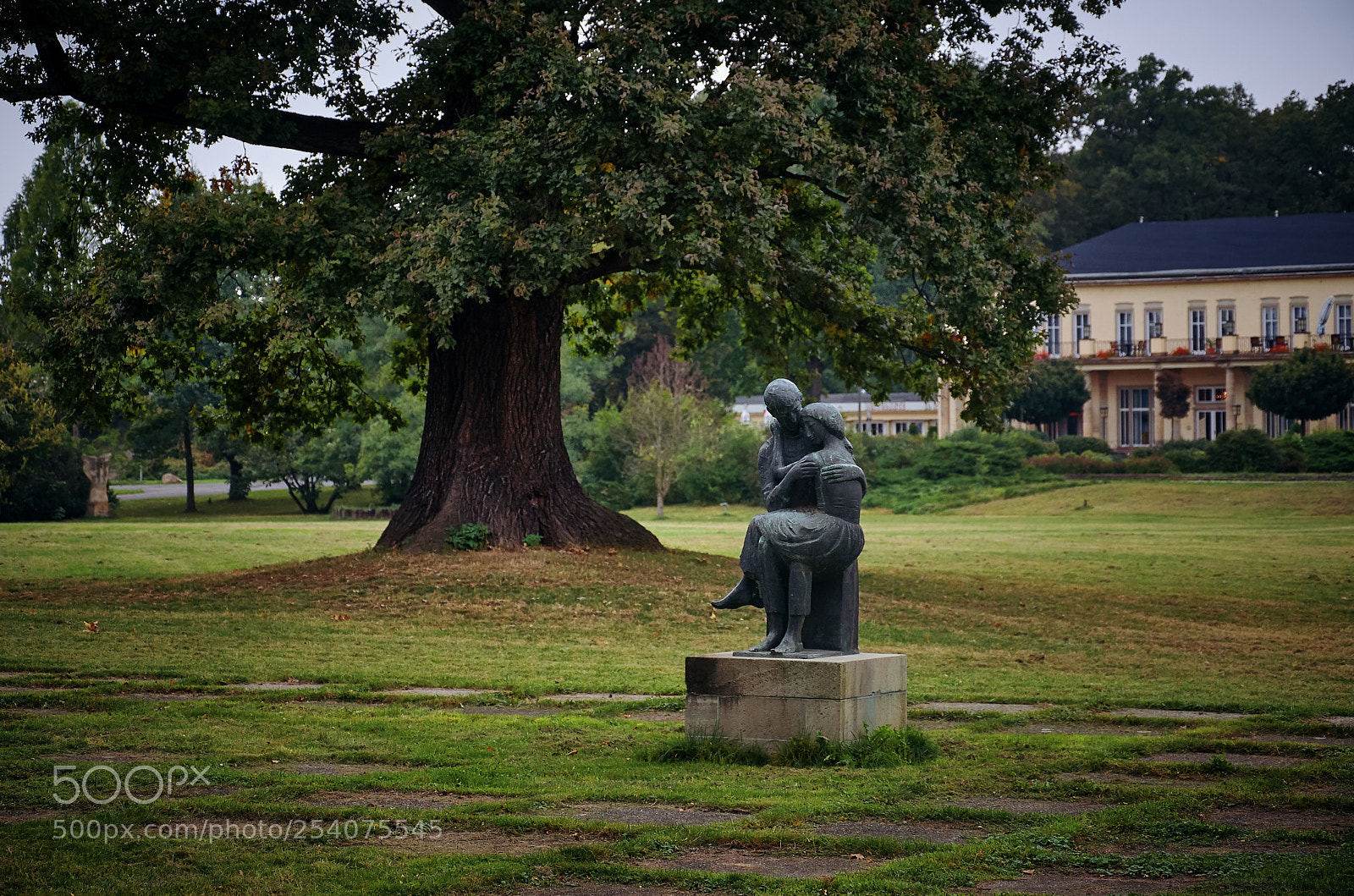 Nikon D5100 sample photo. ... photography