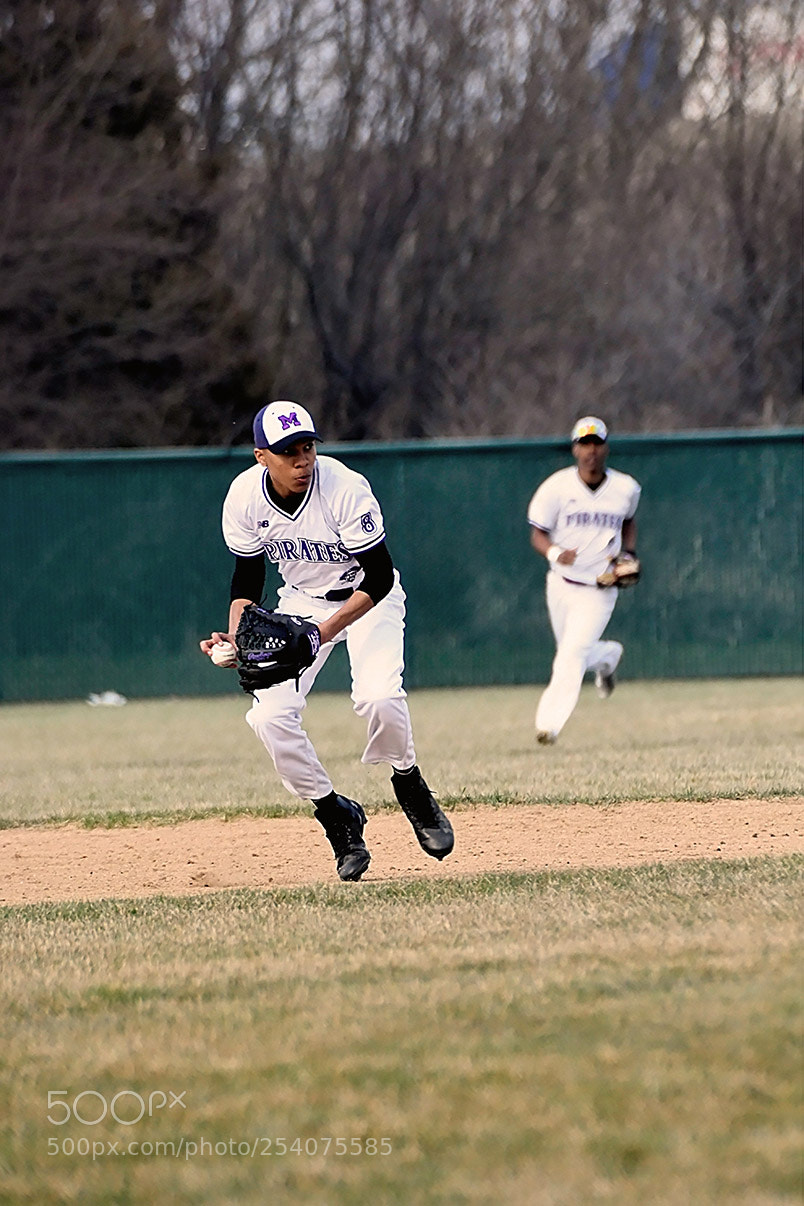 Nikon D500 sample photo. Baseball photography
