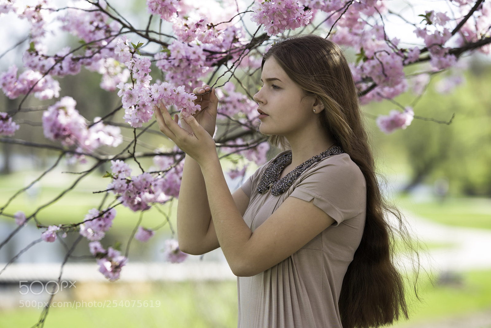 Nikon D610 sample photo. Spring photography