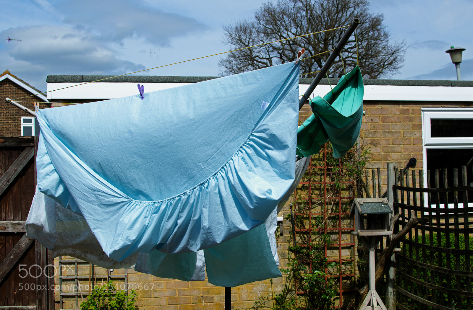 Nikon D5300 sample photo. Wash day blue photography