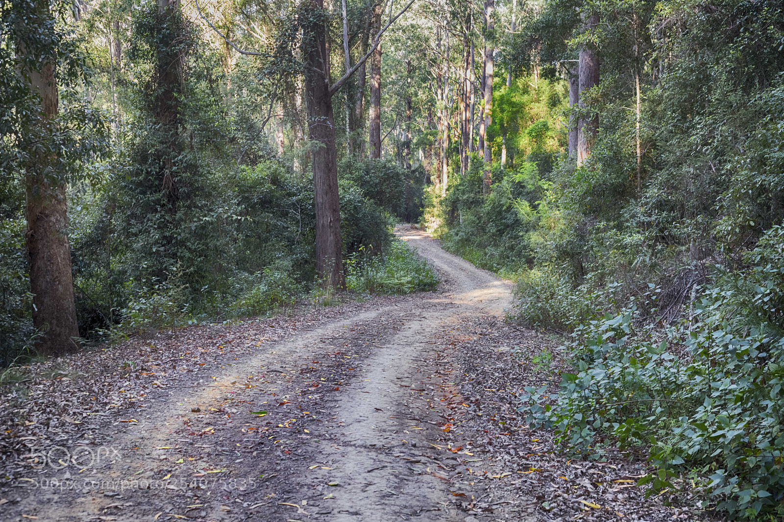 Canon EOS 6D Mark II sample photo. Barrington road photography