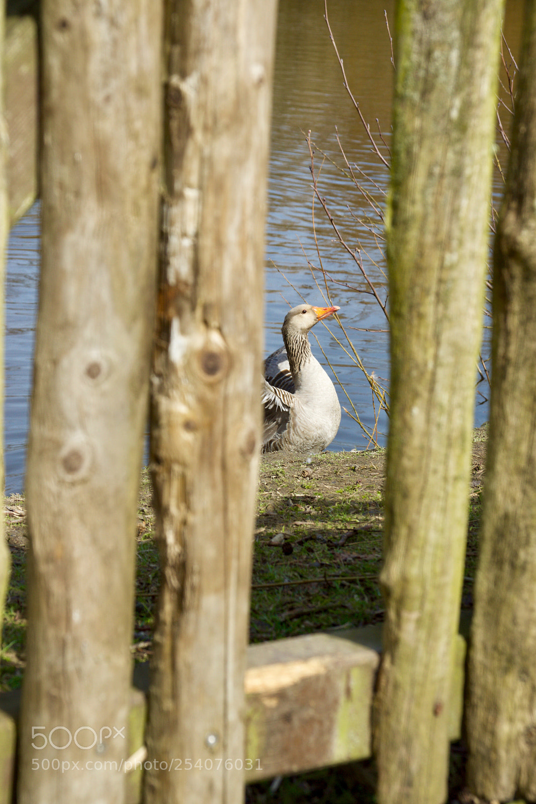 Sony SLT-A77 sample photo. Der blick durch den photography