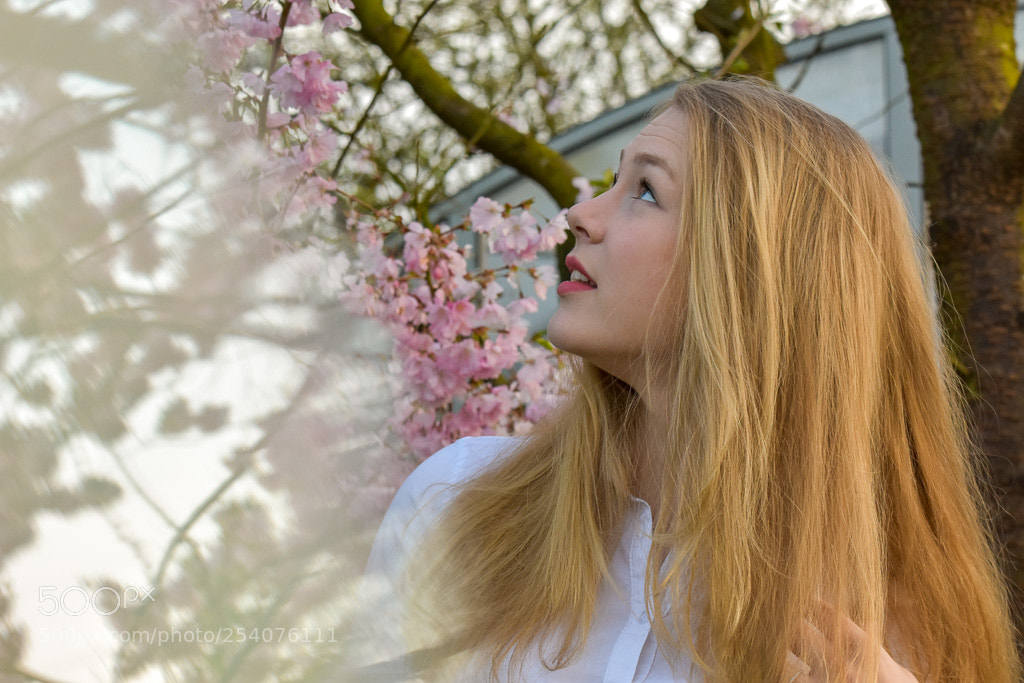 Nikon D7200 sample photo. Untitled photography