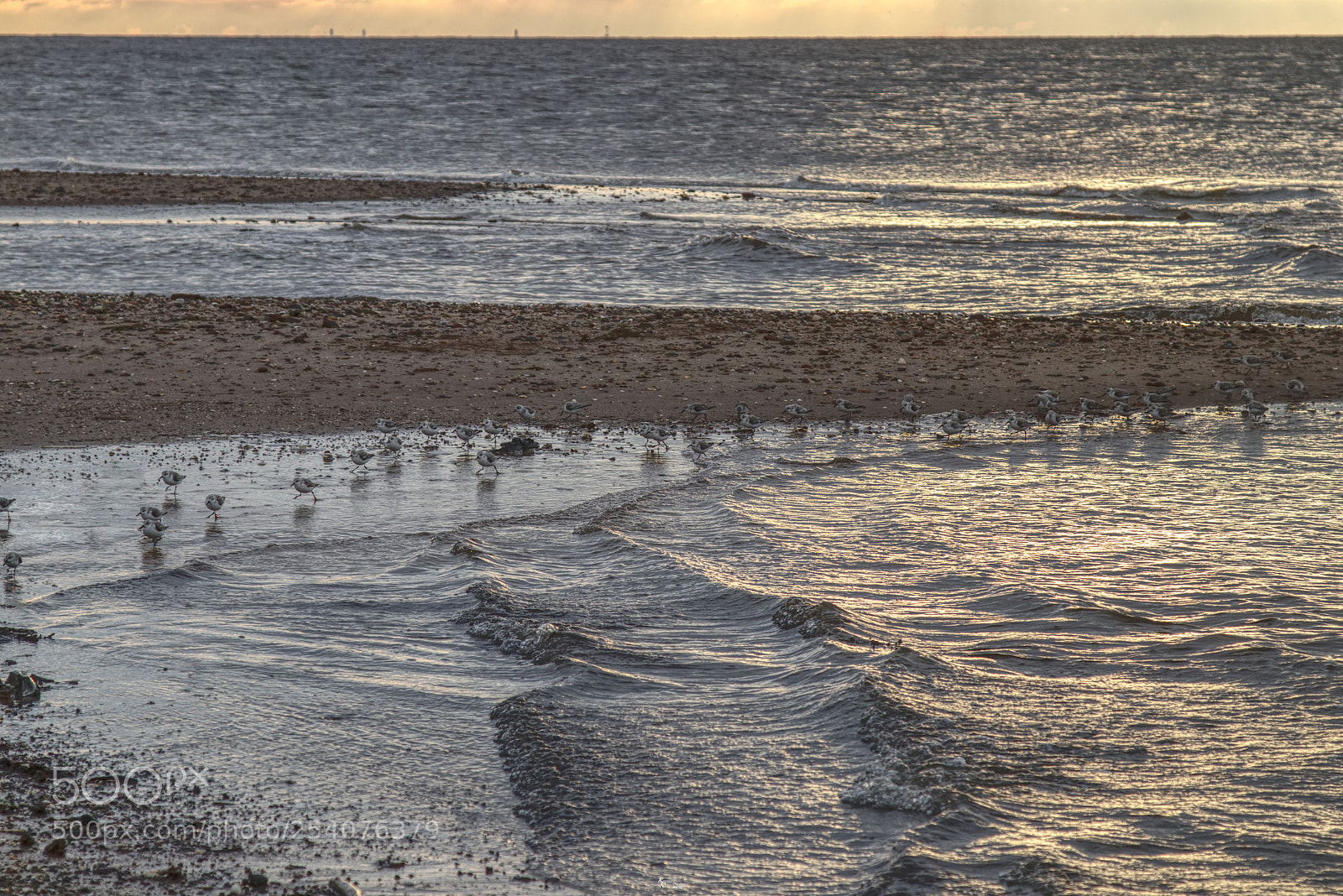 Canon EOS M5 sample photo. March of the piping photography