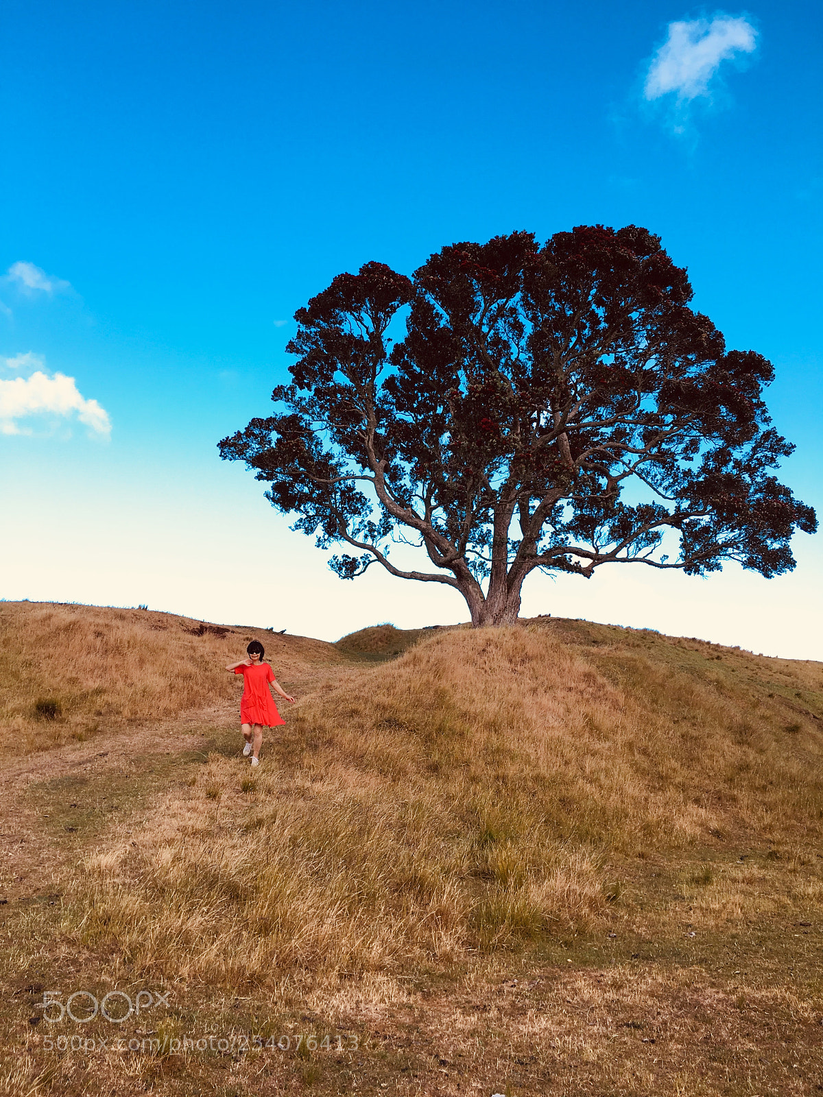 Apple iPhone 6s sample photo. One tree hill photography