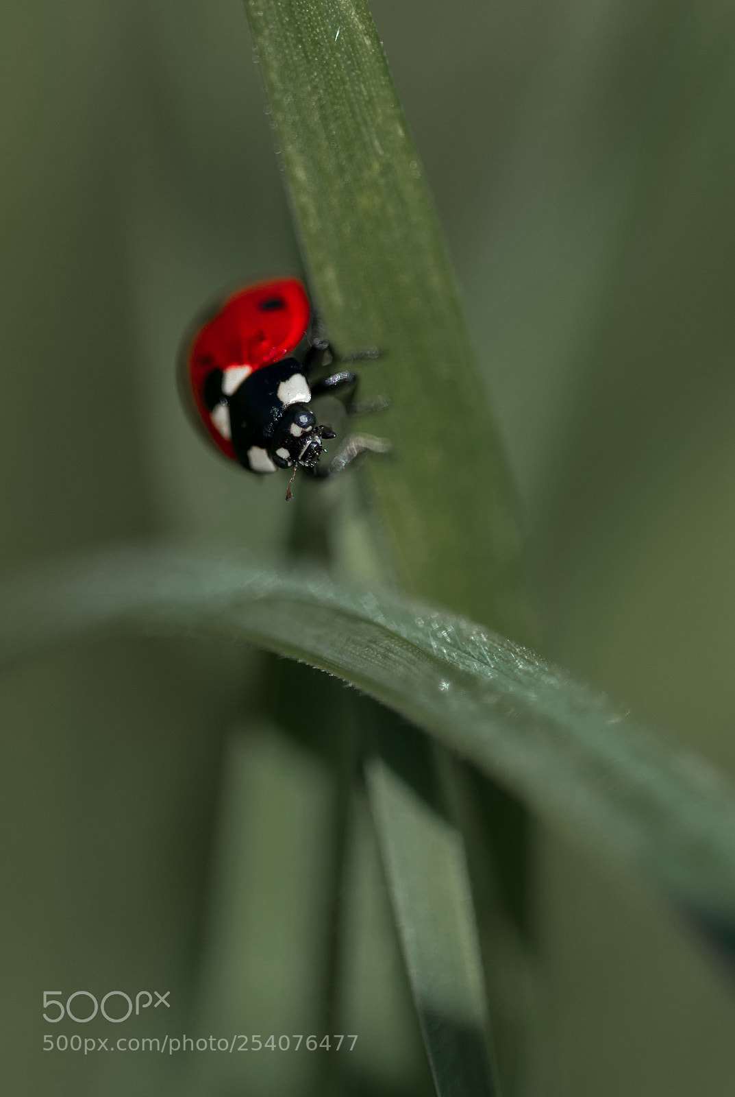Nikon D3300 sample photo. Untitled photography