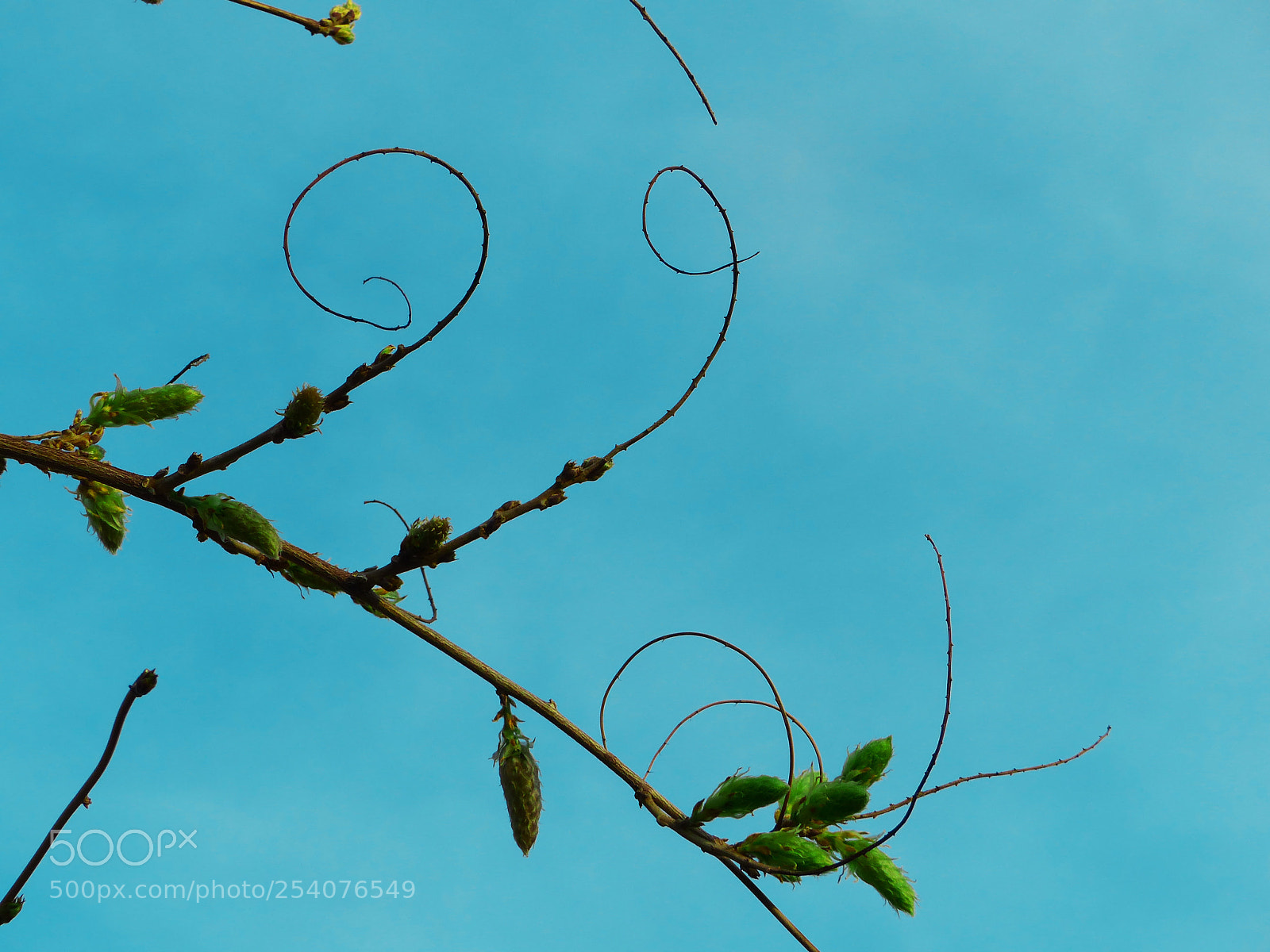 Panasonic Lumix DMC-FZ200 sample photo. . photography