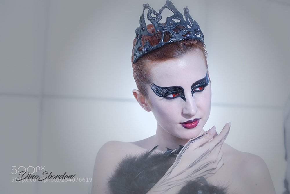 Nikon D800 sample photo. Cigno nero photography