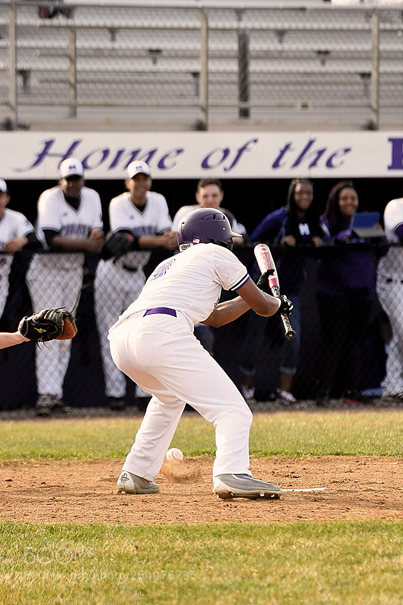 Nikon D500 sample photo. Baseball photography