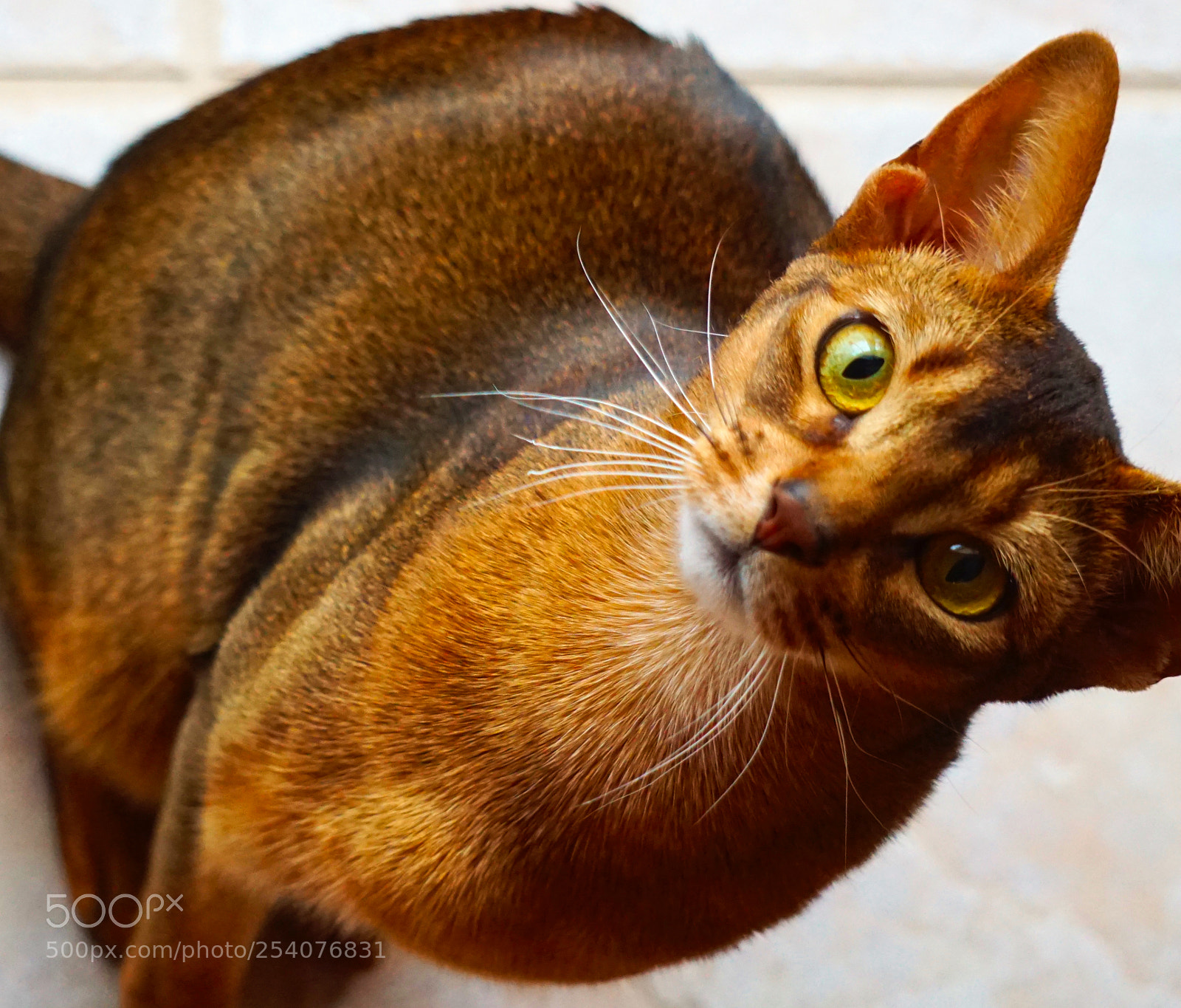 Sony a6000 sample photo. Precious photography