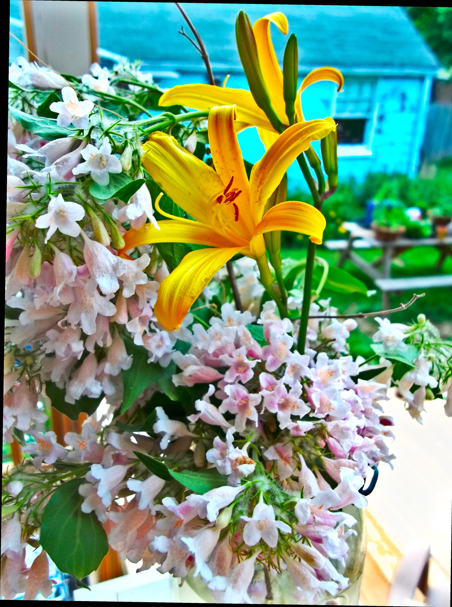 Kodak EASYSHARE CAMERA, C1530 sample photo. Flower in vase photography