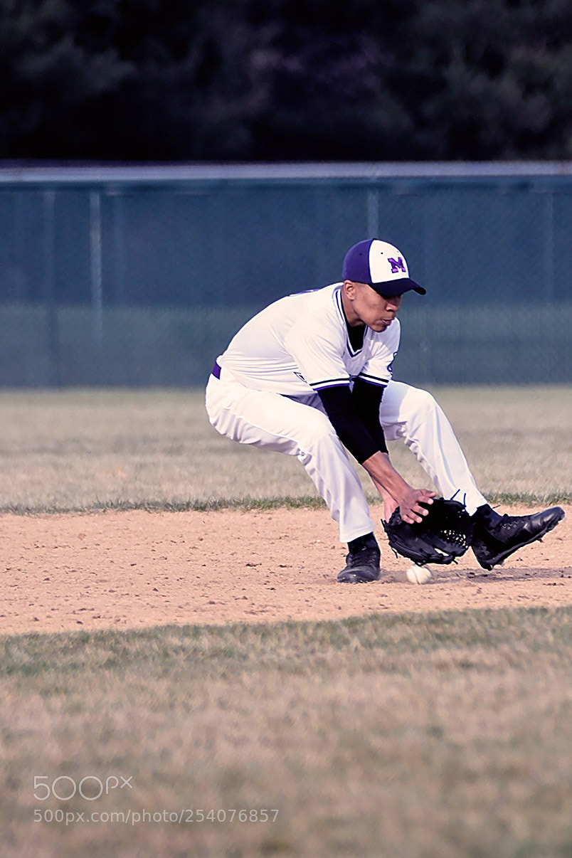 Nikon D500 sample photo. Baseball photography