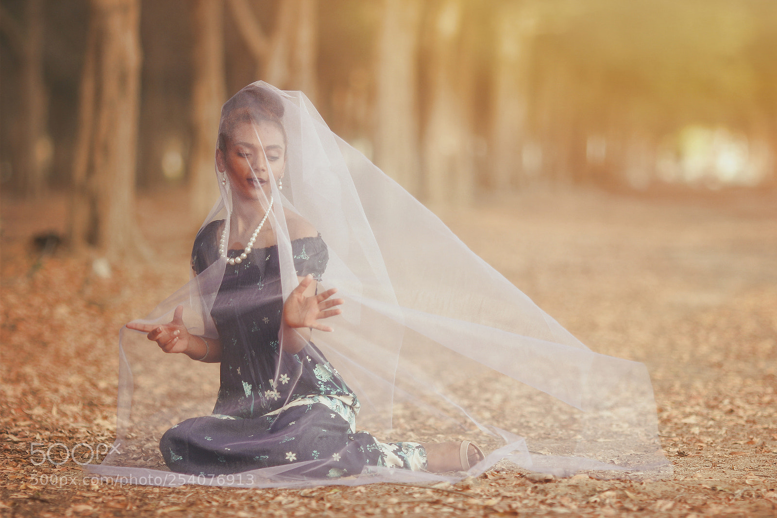 Canon EOS 60D sample photo. Transparent photography